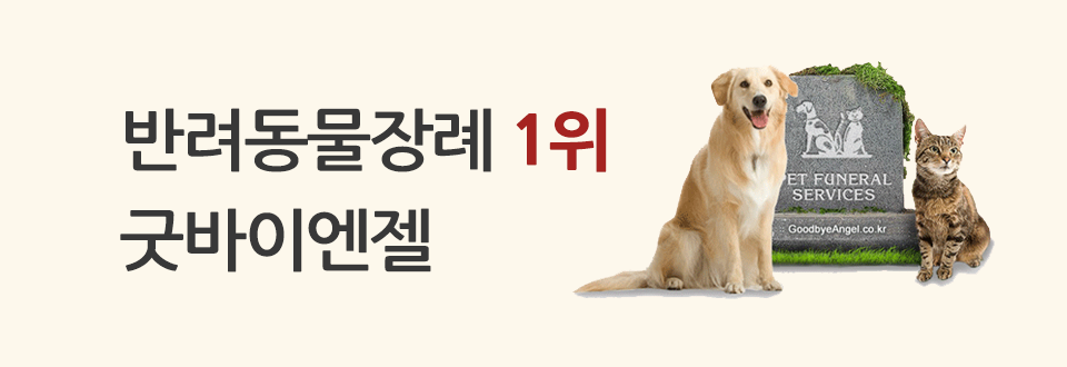 굿바이엔젤 바로가기